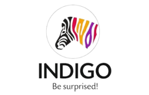 Indigo-logo-removebg-preview